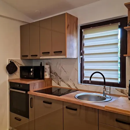 Apartment Nika 1